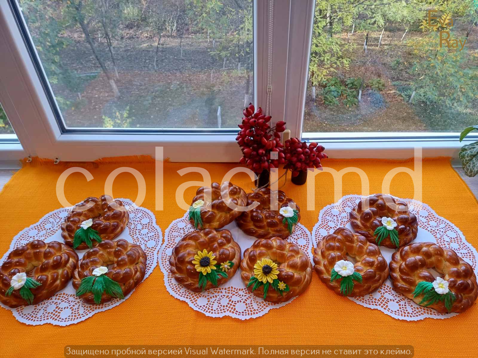 Colaci (138) – Colaci Artizanali